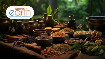 From Burnout to Balance: Why Ayurveda Is the Wellness System We Need Now