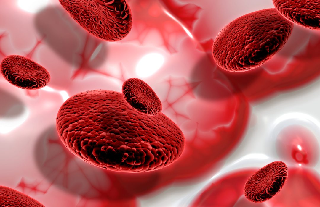 3D render of blood cells on abstract background